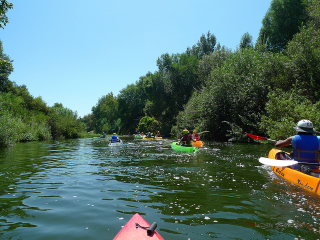 Illustration for article titled I Kayaked the Part of the Los Angeles River That Actually Looks Like a River